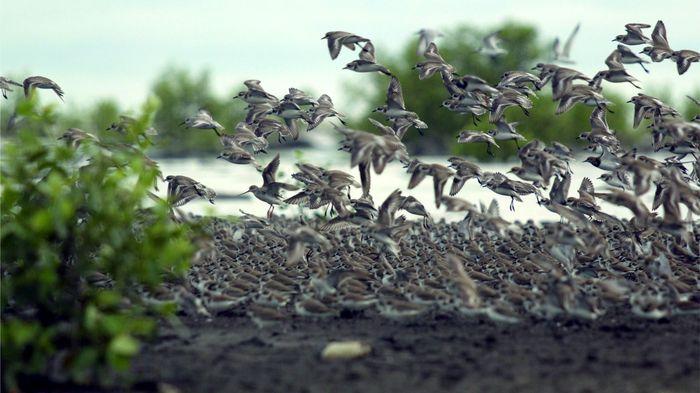 Taman Nasional Indonesia yang Masuk Situs Warisan UNESCO